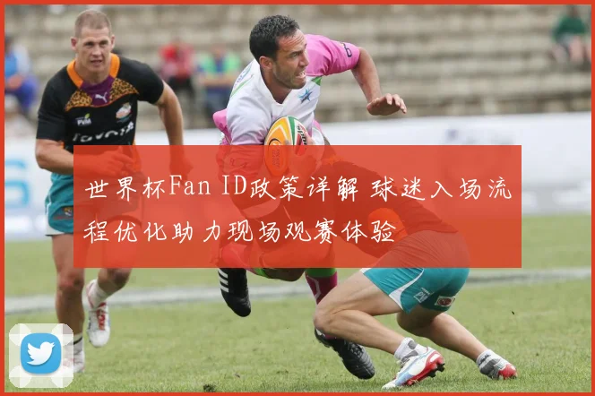 世界杯Fan ID政策详解 球迷入场流程优化助力现场观赛体验