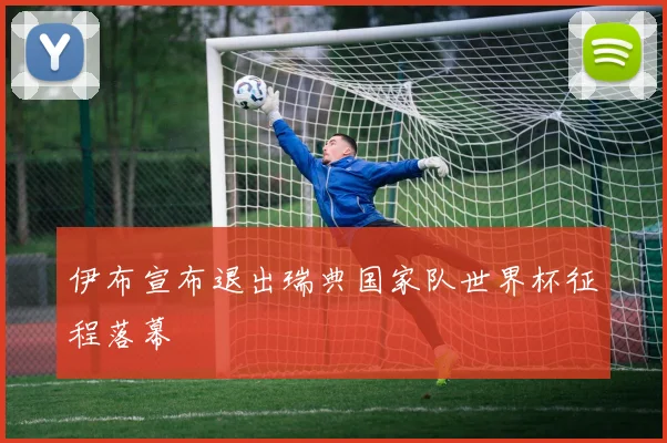 伊布宣布退出瑞典国家队世界杯征程落幕